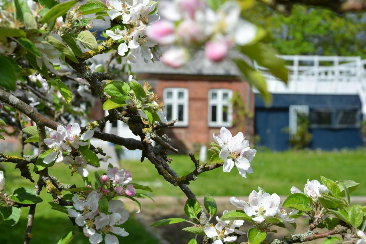Kirkely Bed And Breakfast Vester Ulslev ภายนอก รูปภาพ